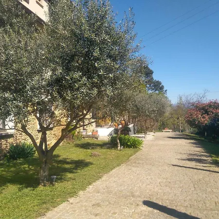 Quinta Do Senhor Villa Braga Exterior photo